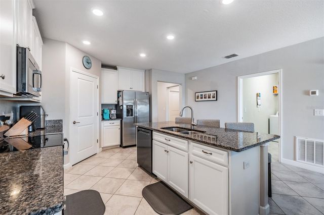 10334 ECHO DOCK LOOP, San Antonio, FL 33576