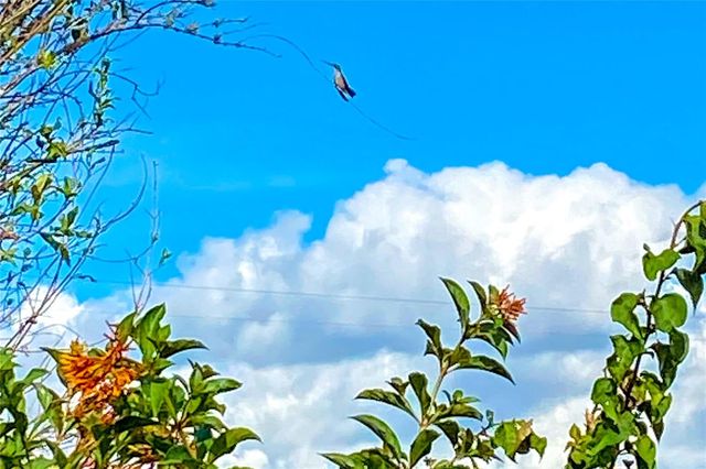 989 NW 231ST WAY, Newberry, FL 32669