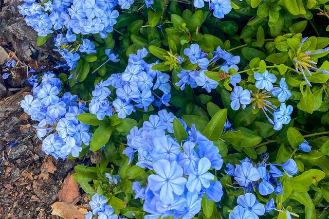 989 NW 231ST WAY, Newberry, FL 32669