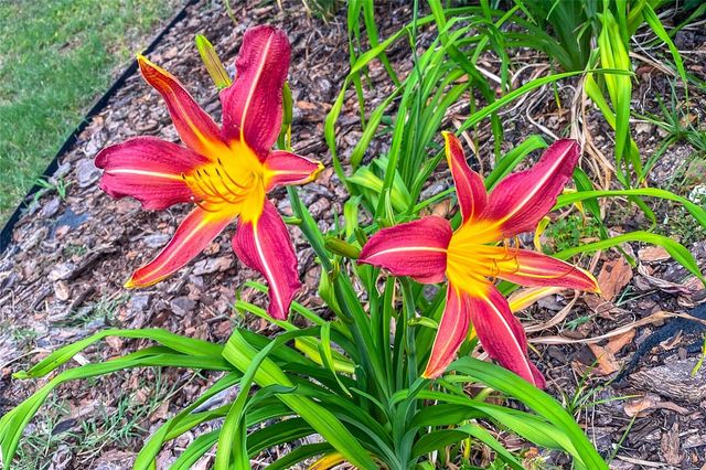 989 NW 231ST WAY, Newberry, FL 32669