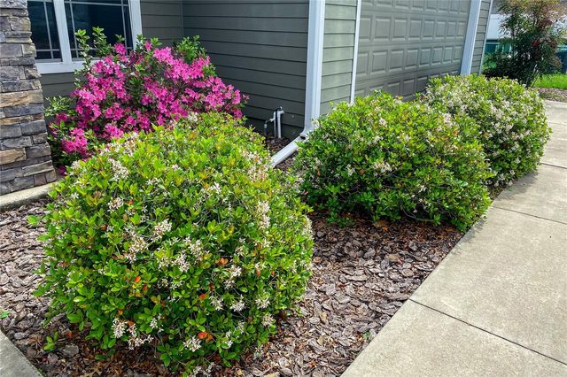 989 NW 231ST WAY, Newberry, FL 32669