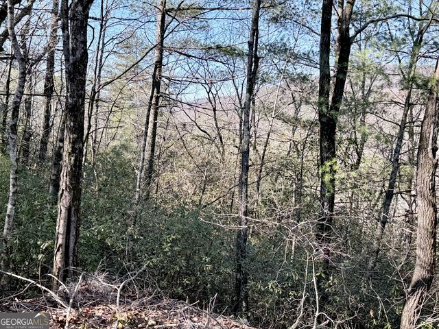 0 Rabun Bluffs Drive, Lakemont, GA 30552