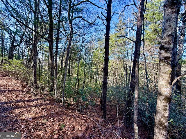 0 Rabun Bluffs Drive, Lakemont, GA 30552