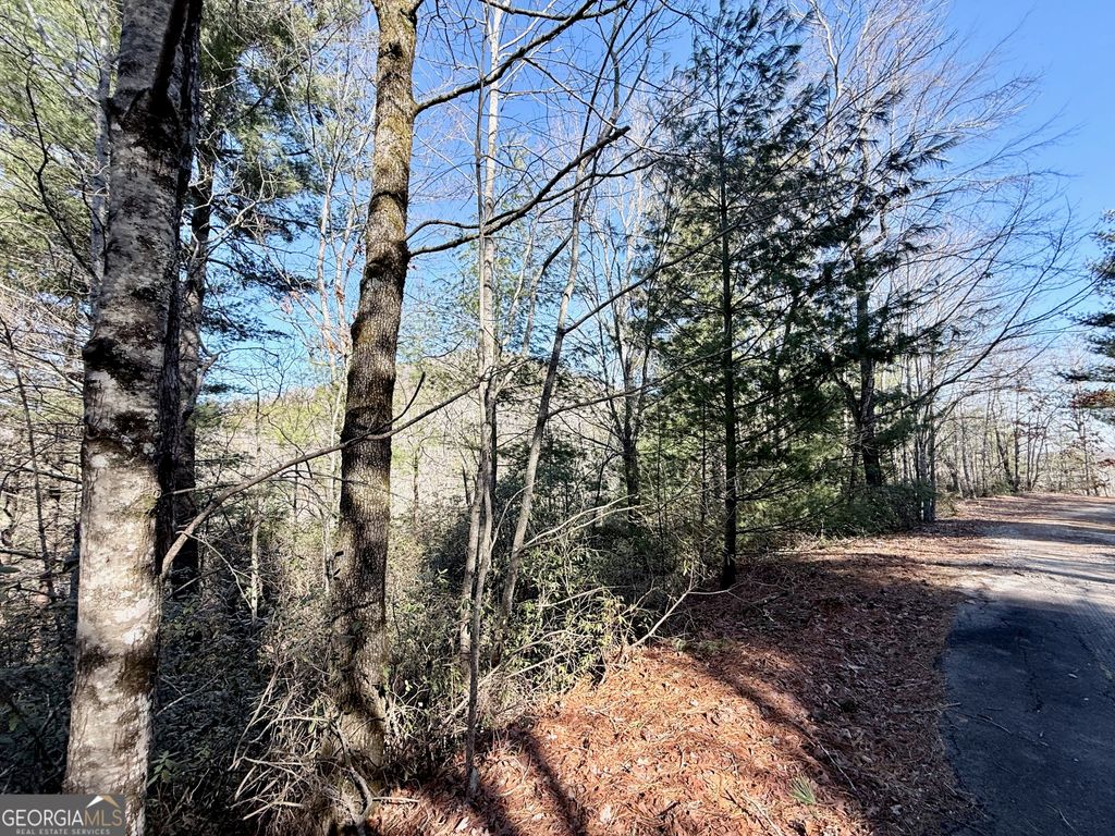 0 Rabun Bluffs Drive, Lakemont, GA 30552