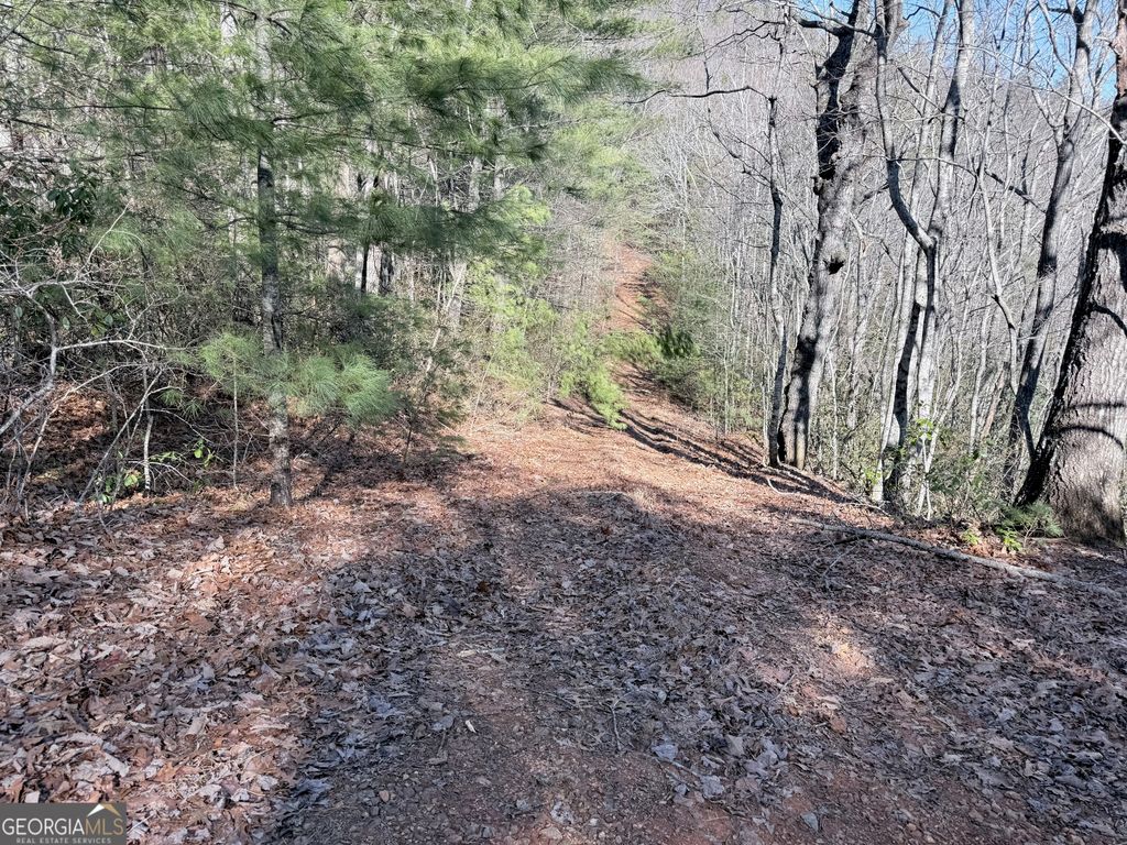 0 Rabun Bluffs Drive, Lakemont, GA 30552 — photo 4