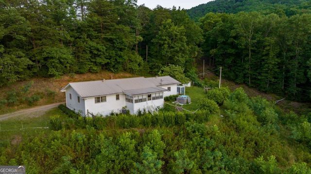588 Pinetree Road, Blue Ridge, GA 30513