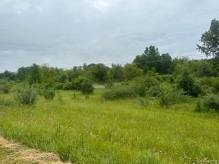 10.63(+/-) Acre Lapeer Road, Davison, MI 48423