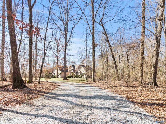 15615 Mcculley Mill Road, Athens, AL 35613