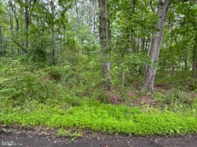 0 SWANN POINT RD, Newburg, MD 20664