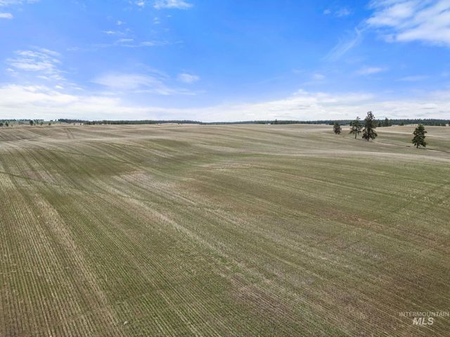 2326 Reubens Road, Reubens, ID 83548