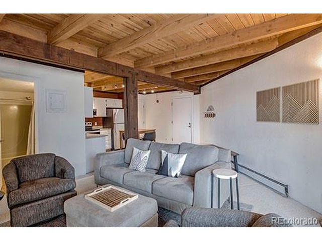 8500 Ryan Gulch Rd 101, Silverthorne, CO 80498