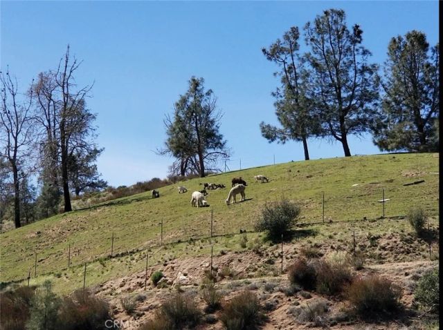 23021 W Avenue D15, Lancaster, CA 93536