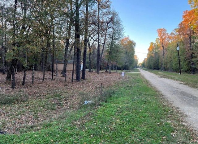 0 Mossy Drive, Livingston, TX 77351