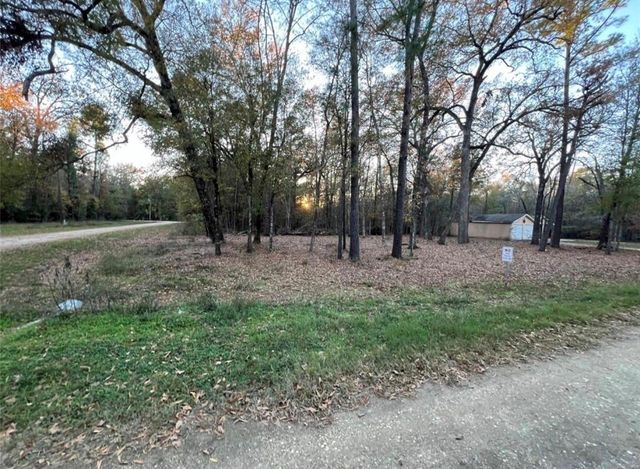 0 Mossy Drive, Livingston, TX 77351