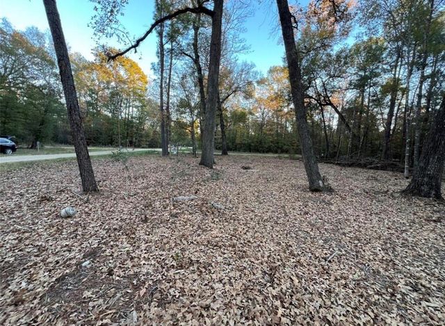 0 Mossy Drive, Livingston, TX 77351