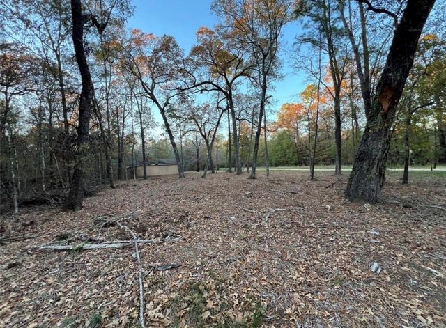 0 Mossy Drive, Livingston, TX 77351