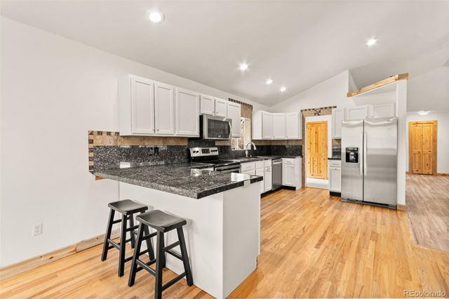 202 Badger Lane, Bailey, CO 80421