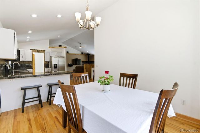 202 Badger Lane, Bailey, CO 80421