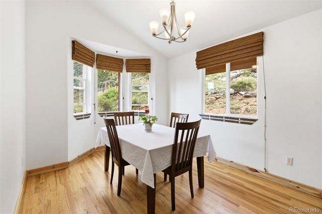 202 Badger Lane, Bailey, CO 80421