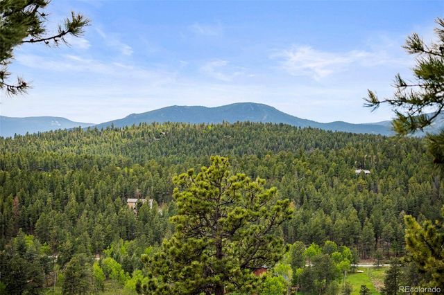 202 Badger Lane, Bailey, CO 80421