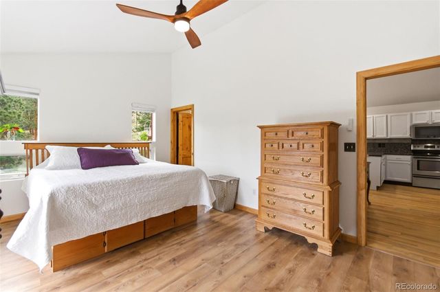 202 Badger Lane, Bailey, CO 80421