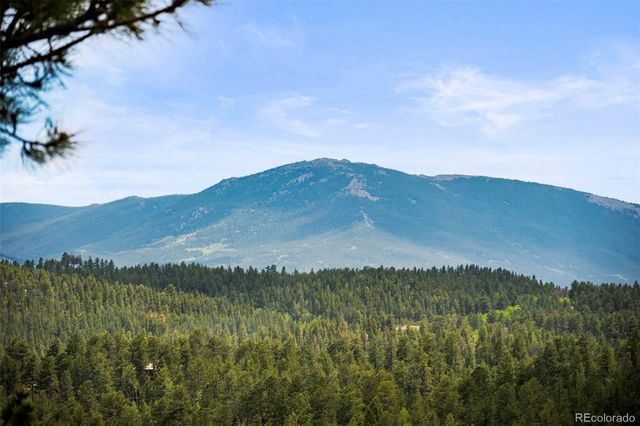 202 Badger Lane, Bailey, CO 80421