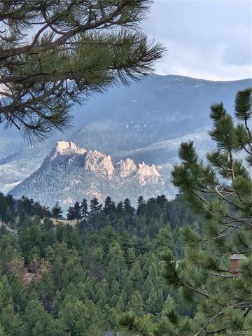 202 Badger Lane, Bailey, CO 80421