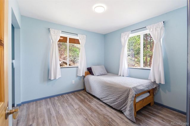 202 Badger Lane, Bailey, CO 80421
