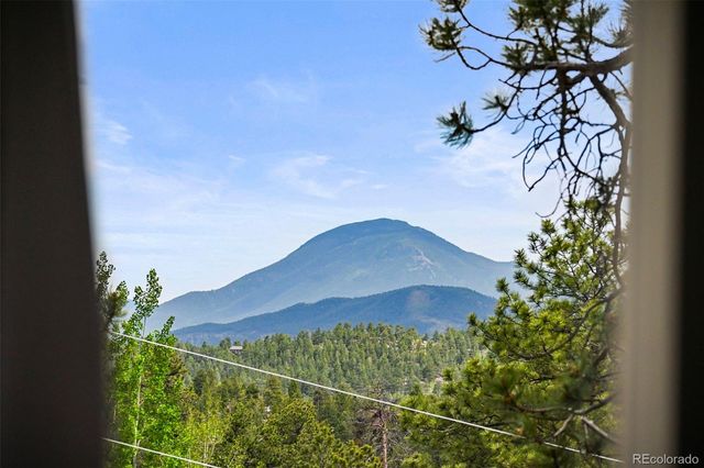 202 Badger Lane, Bailey, CO 80421