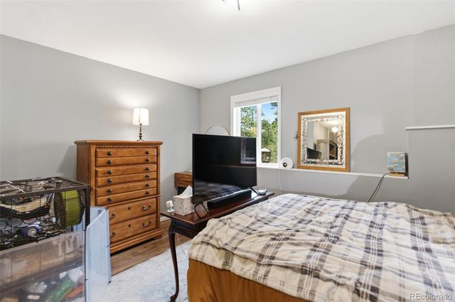 202 Badger Lane, Bailey, CO 80421