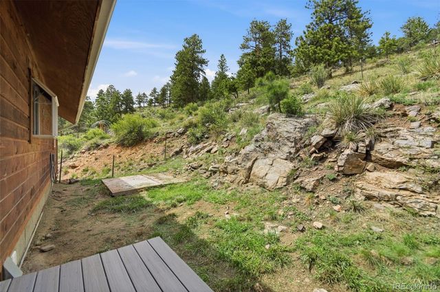 202 Badger Lane, Bailey, CO 80421