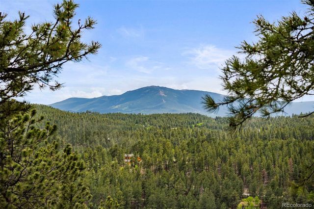 202 Badger Lane, Bailey, CO 80421