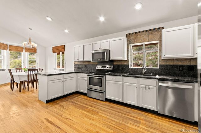 202 Badger Lane, Bailey, CO 80421