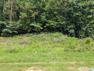 6451 DEERFOOT PARKWAY, Trussville, AL 35173