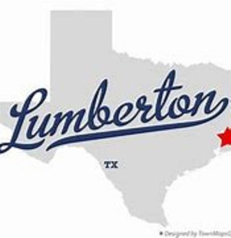 1230 Natashas Way, Lumberton, TX 77657