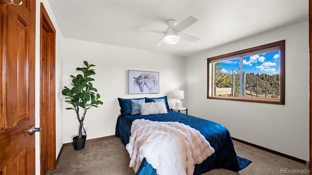 950 Southpark Road, Florissant, CO 80816