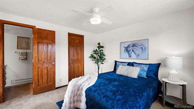 950 Southpark Road, Florissant, CO 80816