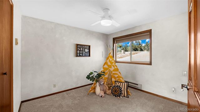 950 Southpark Road, Florissant, CO 80816