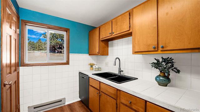 950 Southpark Road, Florissant, CO 80816