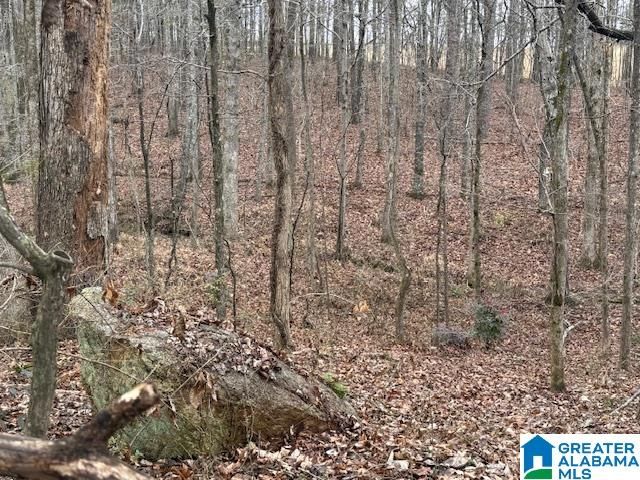 2611 OAKS CHAPEL ROAD, Goodwater, AL 35072