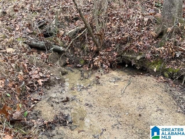 2611 OAKS CHAPEL ROAD, Goodwater, AL 35072