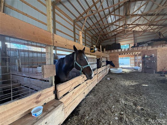 296 White Road, Montgomery City, MO 63361