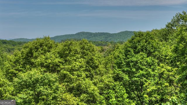 40 Joanna Court, Cherry Log, GA 30522