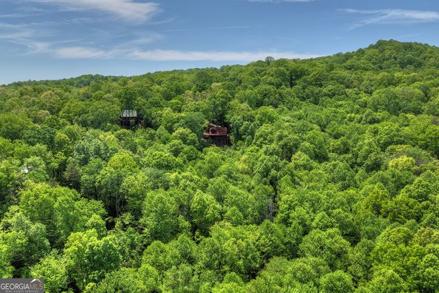 40 Joanna Court, Cherry Log, GA 30522