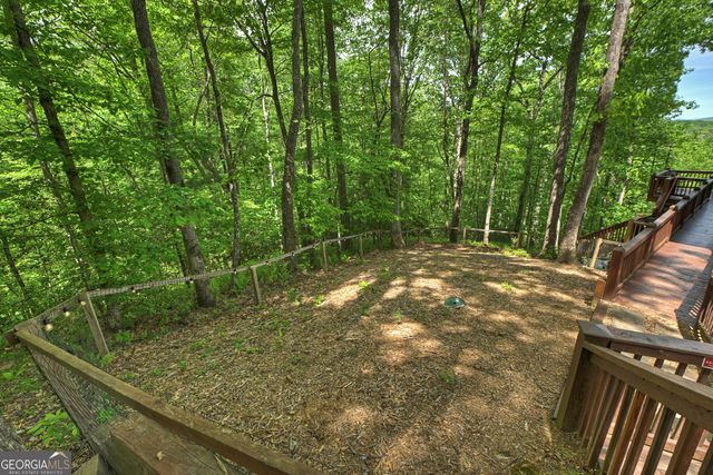 40 Joanna Court, Cherry Log, GA 30522