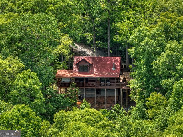 40 Joanna Court, Cherry Log, GA 30522