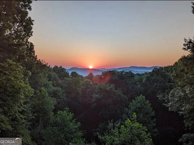 40 Joanna Court, Cherry Log, GA 30522