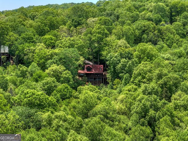 40 Joanna Court, Cherry Log, GA 30522