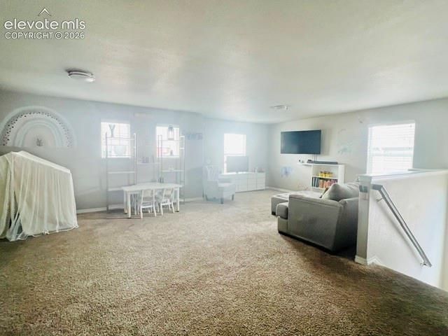 7219 Silver Moon Drive, Colorado Springs, CO 80923