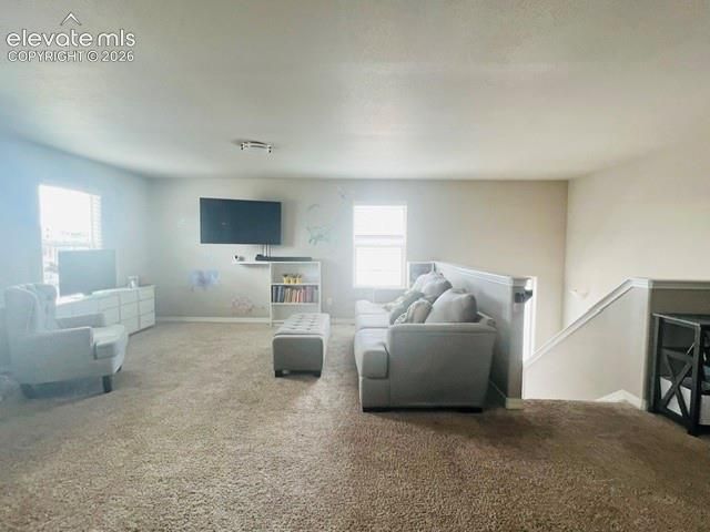 7219 Silver Moon Drive, Colorado Springs, CO 80923